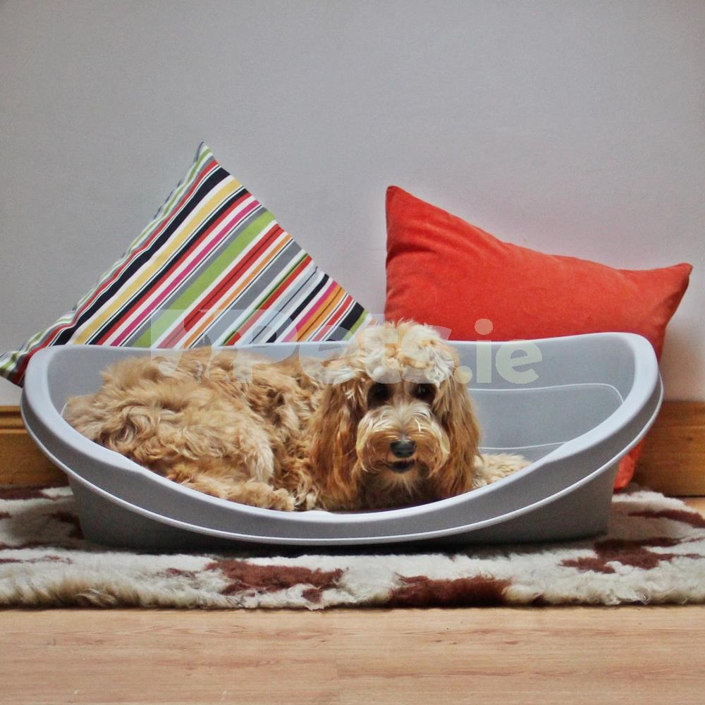 Pets Dog Bed Plastic Grey Medium Pets.ie Ireland
