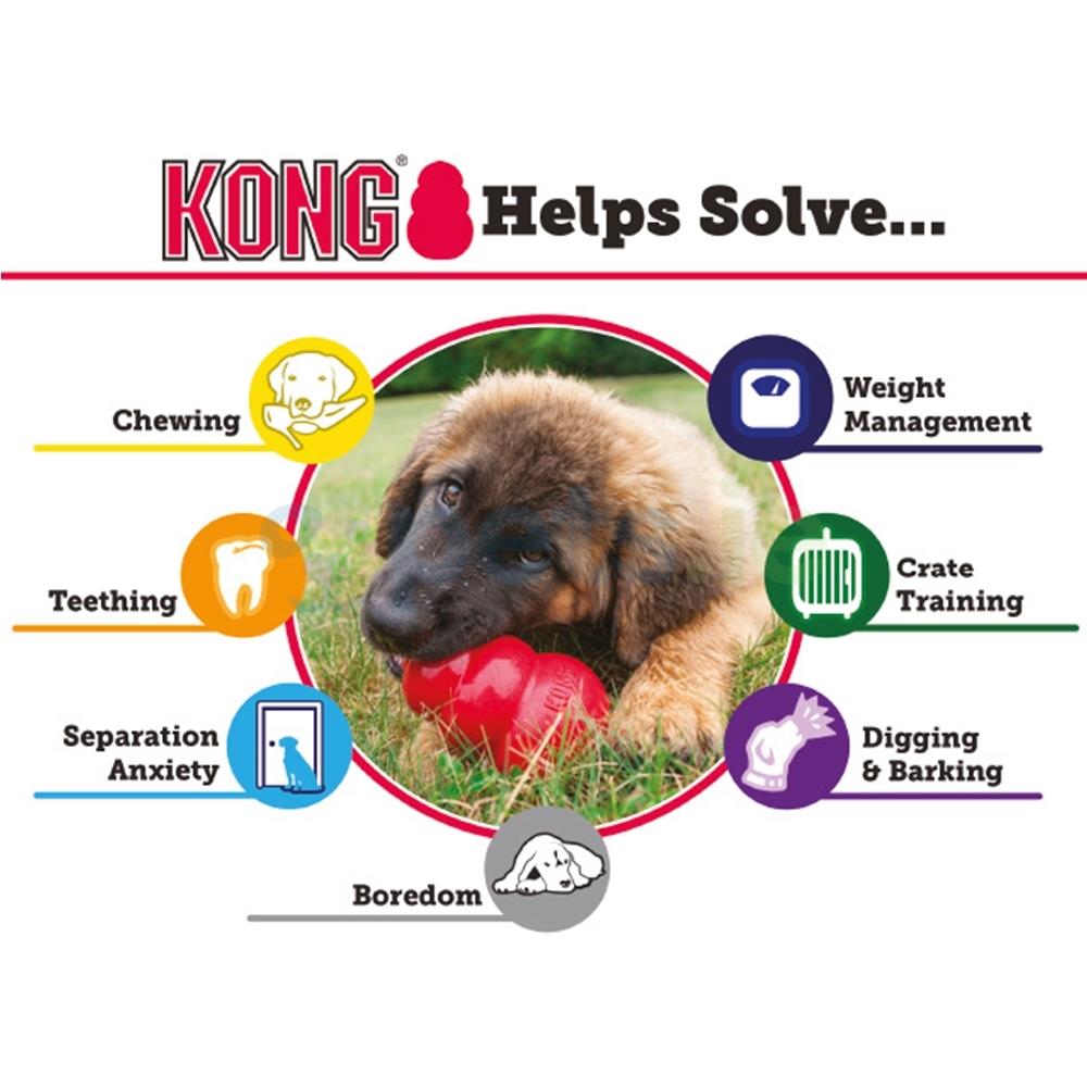 KONG Ballistic Hide' n Treat Pets.ie Ireland