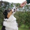 Whimzees Dental - Toothbrush Treats - Medium Dogs - 12 Pack