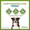Whimzees Dental - Toothbrush Treats - Medium Dogs - 12 Pack