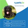 PacDog Rechargeable Dog Fence Collar - Extra Large
