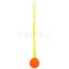 Flamingo Lipa Ball With Tug Rope - Floating - Dog Toy