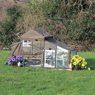 Pets.ie Cover for Katie