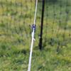 Chicken Fencing With Gate - 12m - Green