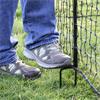 Chicken Fencing With Gate - 12m - Green
