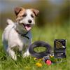Dog Fence Kit - Small