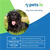Dog Fence Kit - Small