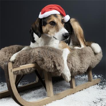 Flamingo Christmas - Santa Hat