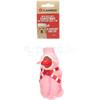 Christmas - Ishaan - Pig - Dog Toy