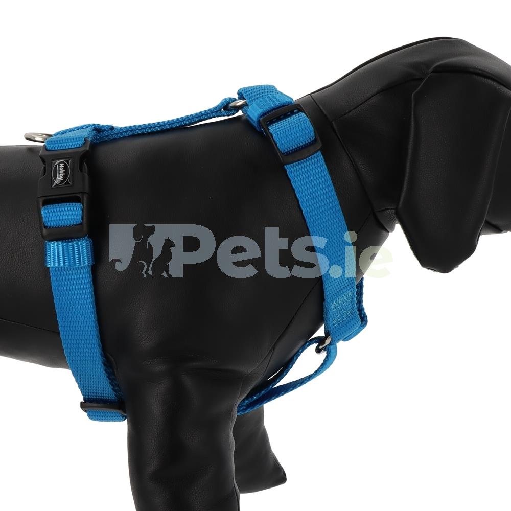 Classic Harness Light Blue Pets.ie Ireland