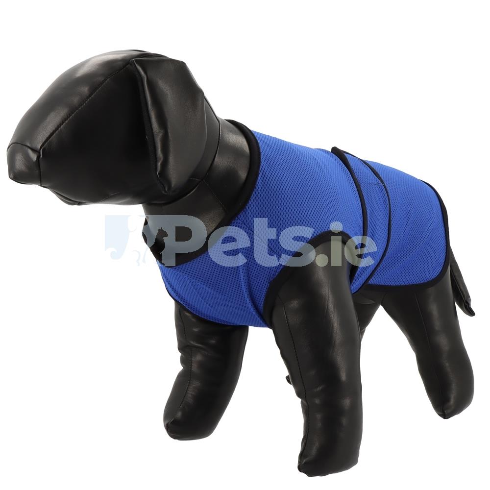 Ancol Dog Cooling Coat Blue 5 Sizes Pets.ie Ireland