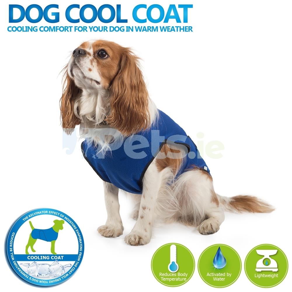 Ancol Dog Cooling Coat Blue 5 Sizes Pets.ie Ireland