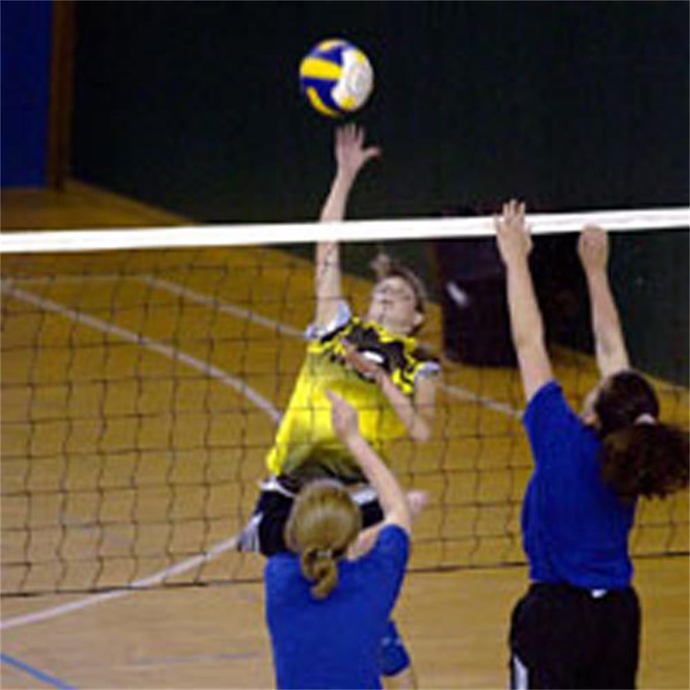 regulation volleyball net
