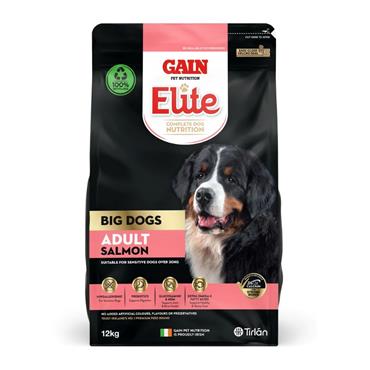 Big Dogs Adult Salmon 12kg