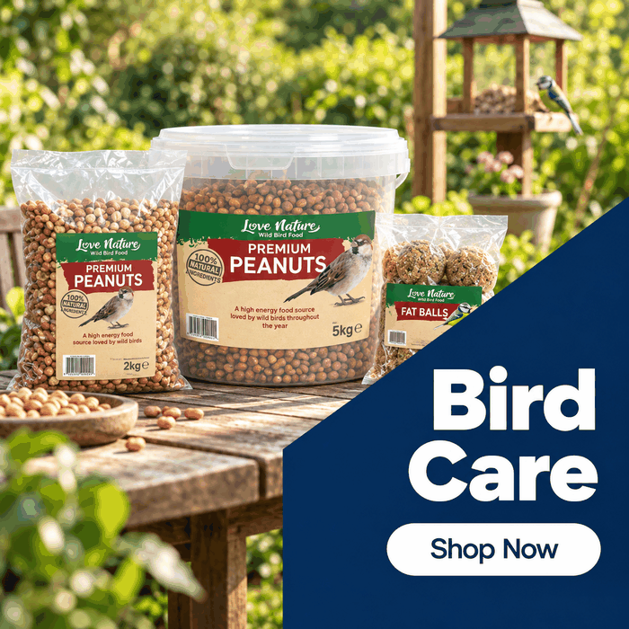 Birds & Wildlife