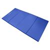 Sure Shot Foldable Double Mat (4 Fold) | 8ft X 4ft X 60mm - BLUE