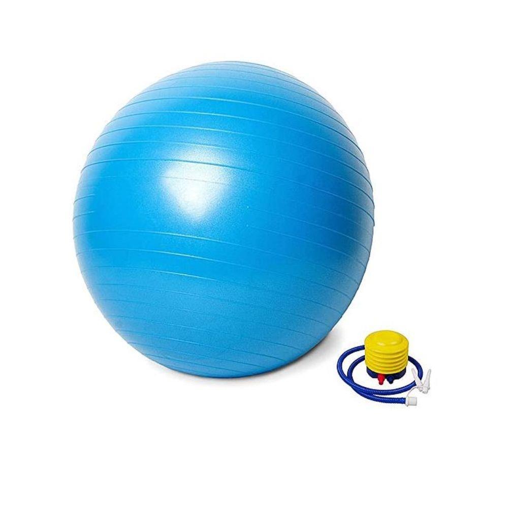 Vector X Swiss Gym Ball 65cm One Michael Murphy Sports Donegal