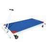 Sure Shot Horizontal Mat Trolley - N/A