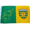 Michael Murphy Donegal GAA Flag | 5ft x 3ft - GREEN