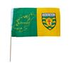 Michael Murphy Donegal GAA Handheld Flag | 3ft x 2ft - GREEN