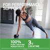 Optimum Nutrition Creatine Monohydrate 317G | Unflavoured - BLACK