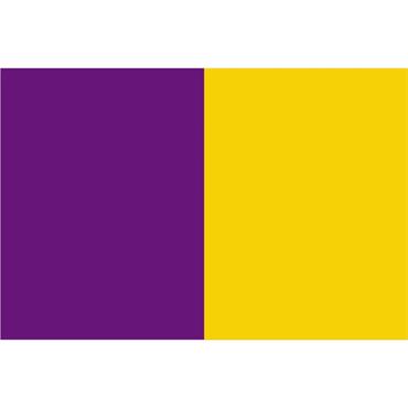 Team Flag 3 x 2 Purple/ Amber - Purple/Gold