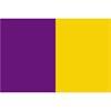 Team Flag 3 x 2 Purple/ Amber - Purple/Gold