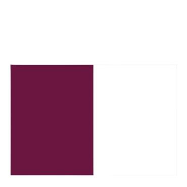 Michael Murphy Team Flag 5' X 3' - MAROON/ WHITE
