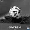 Precision Rotario Match Football Size 5 - White
