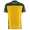 Official Donegal GAA Home Jersey 2026 | ADULTS | (Regular Fit)