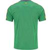 O' Neills Adults Donegal Imperium 060 K20 T- Shirt - GREEN