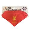 Liverpool Dog Bandana - Red