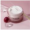 CAUDALIE CAUDALIE RESVERATROL- LIFT FIRMING CASHMERE CREAM 50ML