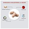 FABU FABU SHROOMS CHOLESTEROL & HEART 90 TABS 